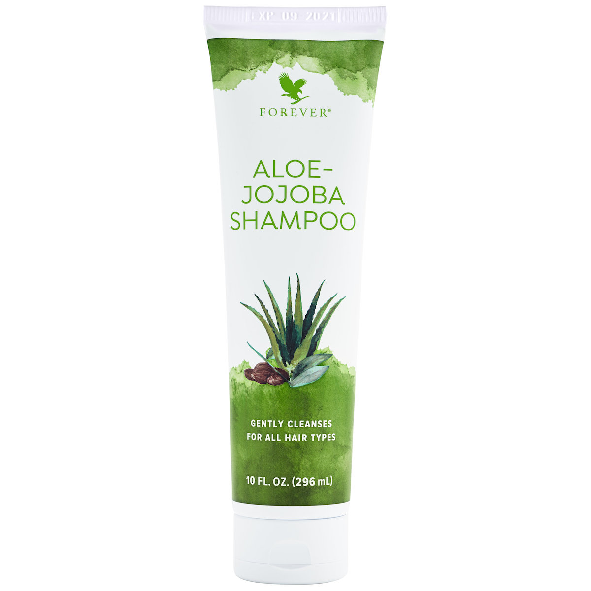 NEW Aloe-Jojoba Shampoo